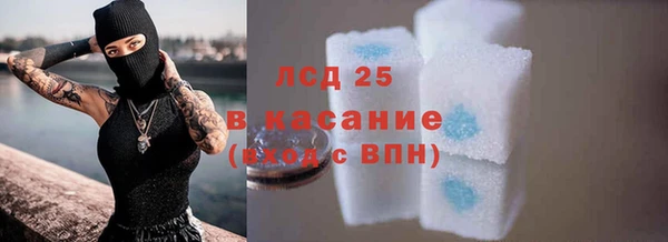 ГАЛЛЮЦИНОГЕННЫЕ ГРИБЫ Саяногорск