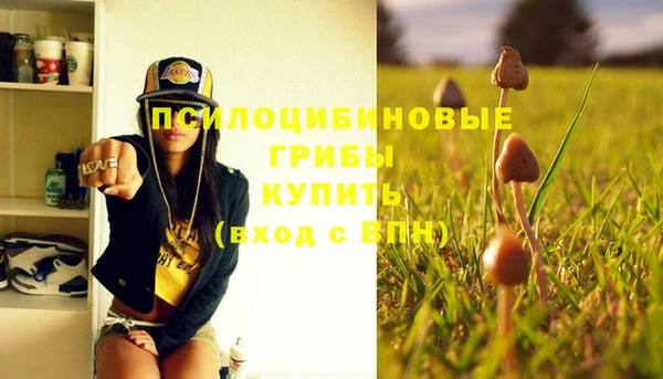 ешки Сатка